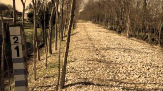 La vecchia linea ferrovia Palmanova-S Giorgio di Nogaro 